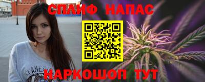 Альфа ПВП Будённовск