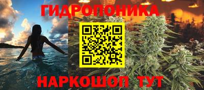 Альфа ПВП Будённовск