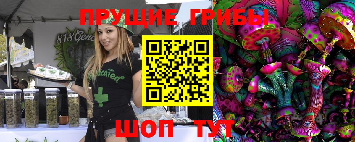 Псилоцибиновые грибы Psilocybe Сергиев Посад