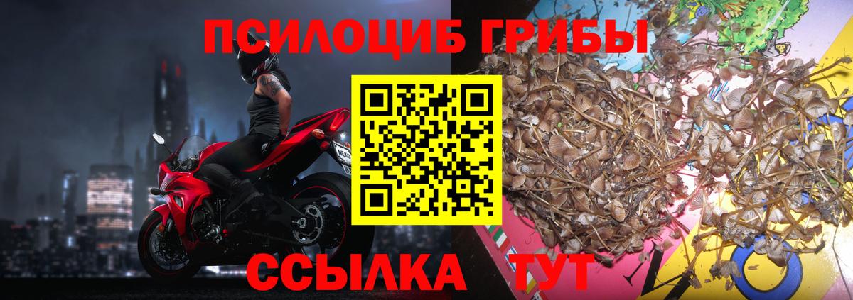 Сергиев Посад  Псилоцибиновые грибы MAGIC MUSHROOMS  Вход с VPN 